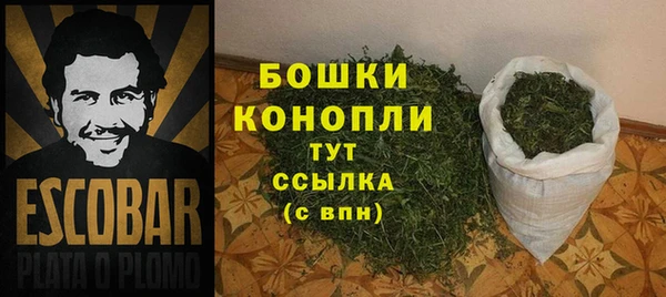 apvp Белокуриха