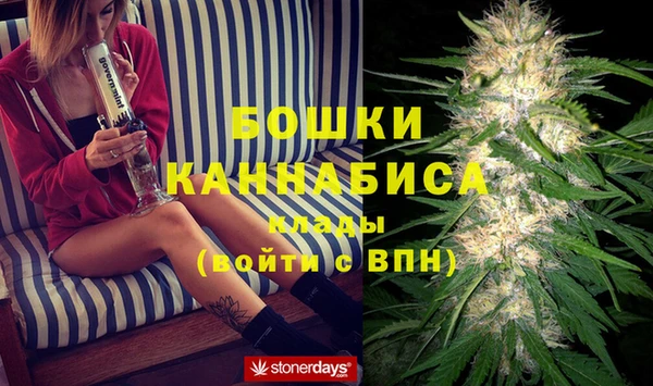 apvp Белокуриха