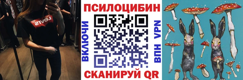 Галлюциногенные грибы Magic Shrooms  Высоцк 